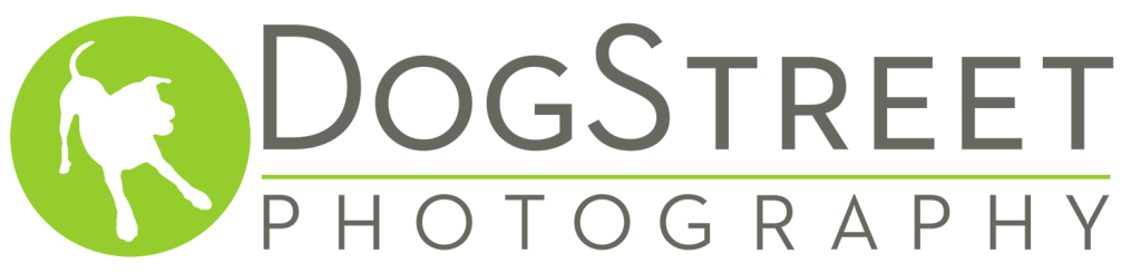 dogstreet photography logo
