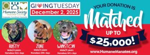 giving tuesday donations matched banner