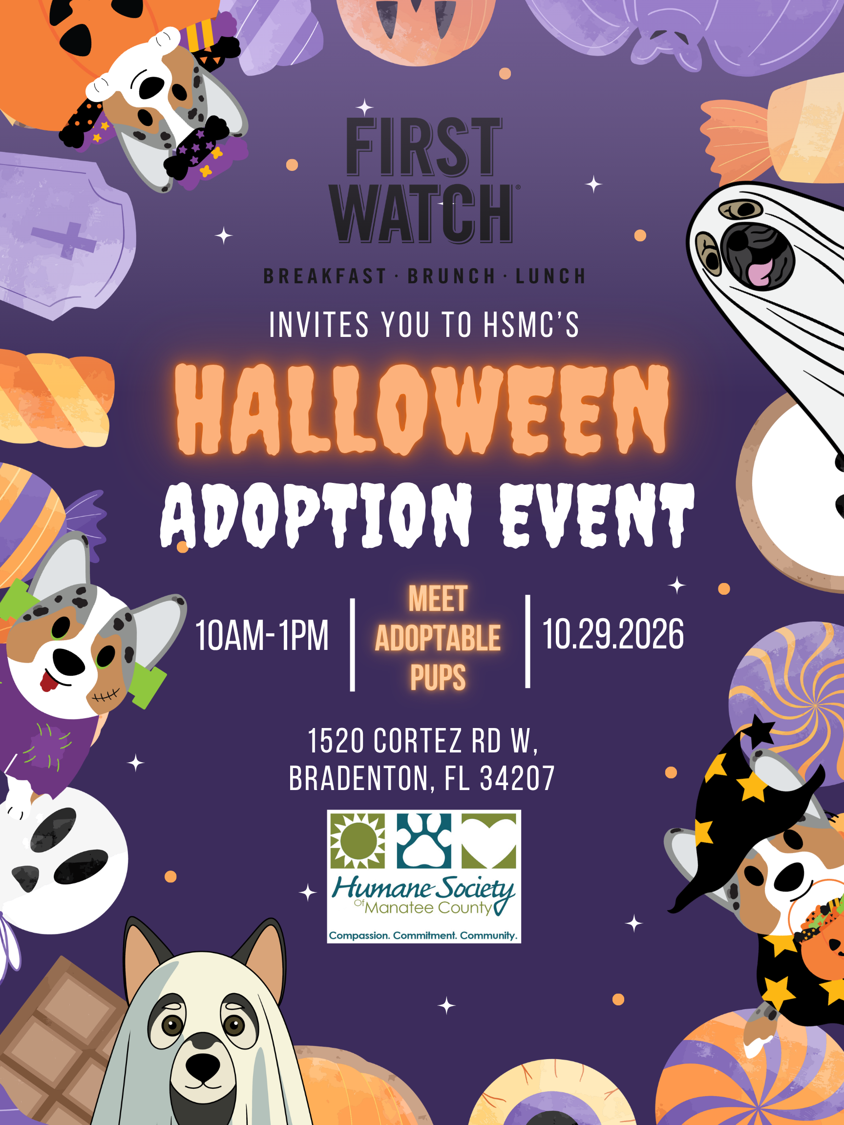 Halloween adoption event at First Watch Oct 29 from 10 am to 1 pm